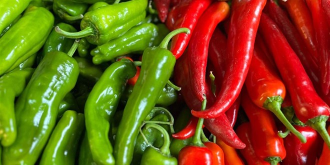 Biber İhracatında Batı Akdeniz Fırtınası: İlk Çeyrekte 115 Milyon Dolarlık Başarı