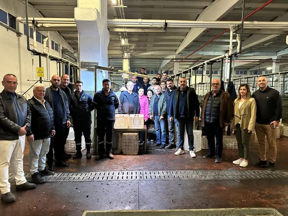 Erdek'te Zeytin Hasadı Başladı: Belediye Başkanı Kooperatifi Ziyaret Etti