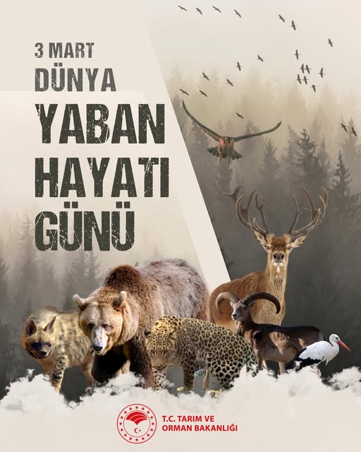 Bursa'da Yaban Hayatı Koruma Çalışmaları ve 3 Mart Dünya Yaban Hayatı Günü