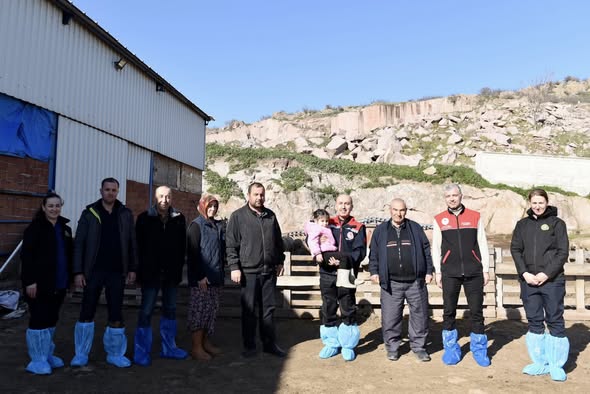 Balıkesir'de Yerli Irk Karacabey Merinosu Masaya Yatırıldı