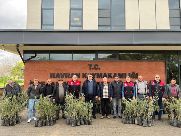 Havran'da Çiftçilere Zeytin Fidanı Desteği: Üretim Artışı Hedefleniyor