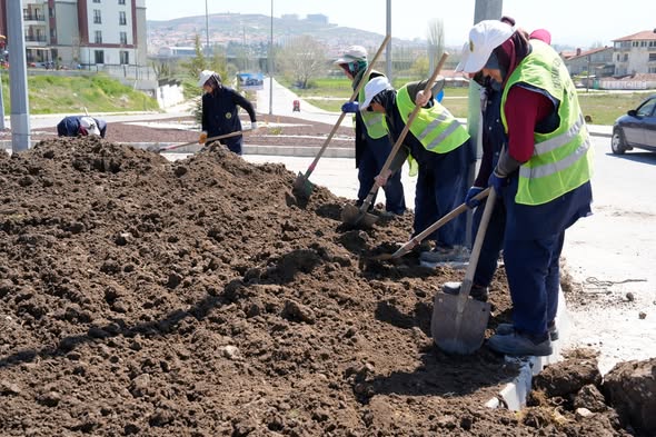 Tavşanlı Belediyesi Ömerbey TOKİ ve Sağlık Caddesi'nde Peyzaj Çalışması Yürütüyor