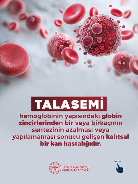 Balıkesir'de Ücretsiz Talasemi Testi: Aile Hekiminize Başvurun