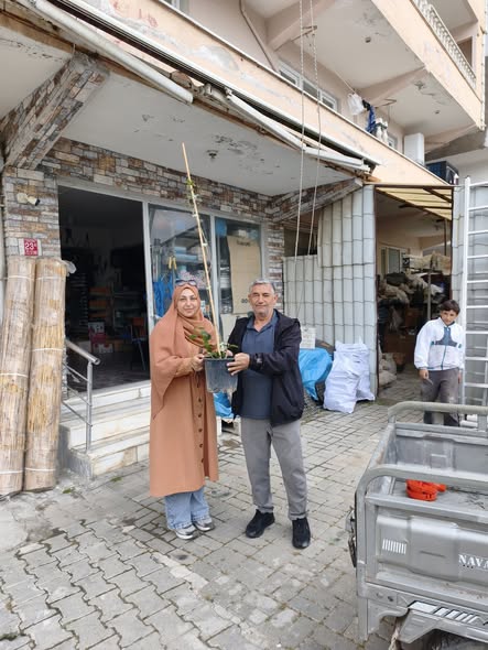 Marmara Adalar'da Begonvil Şenliği: 4 Mahallede Çiçek Dağıtıldı