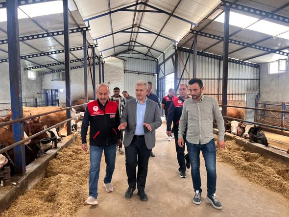 Balıkesir'de Hayvancılık Sektörünün Nabzı Yenice'de Atıyor