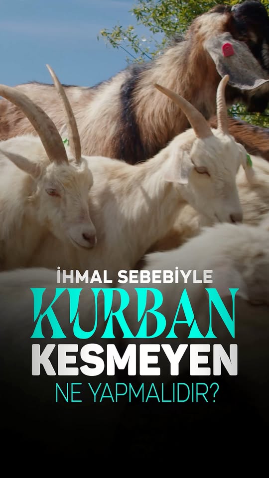 Kurban Kesmeyenler İçin Hanefi Mezhebi Çözümü
