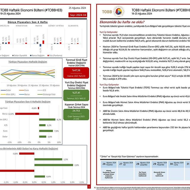 19 - 23 Ağustos 2024 Döneminde Türkiye Ekonomisinde Önemli Gelişmeler