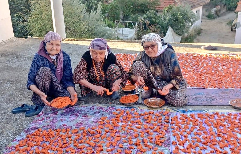 90 Yaşındaki Kadınlar Ev Tarhanasıyla Sağlıklı Yaşıyor