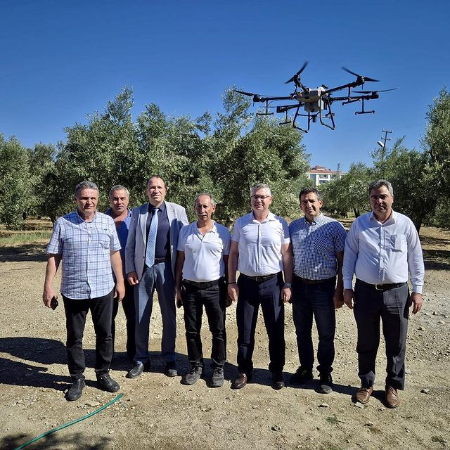 Zeytin Sineğiyle Havadan Mücadele Devam Ediyor