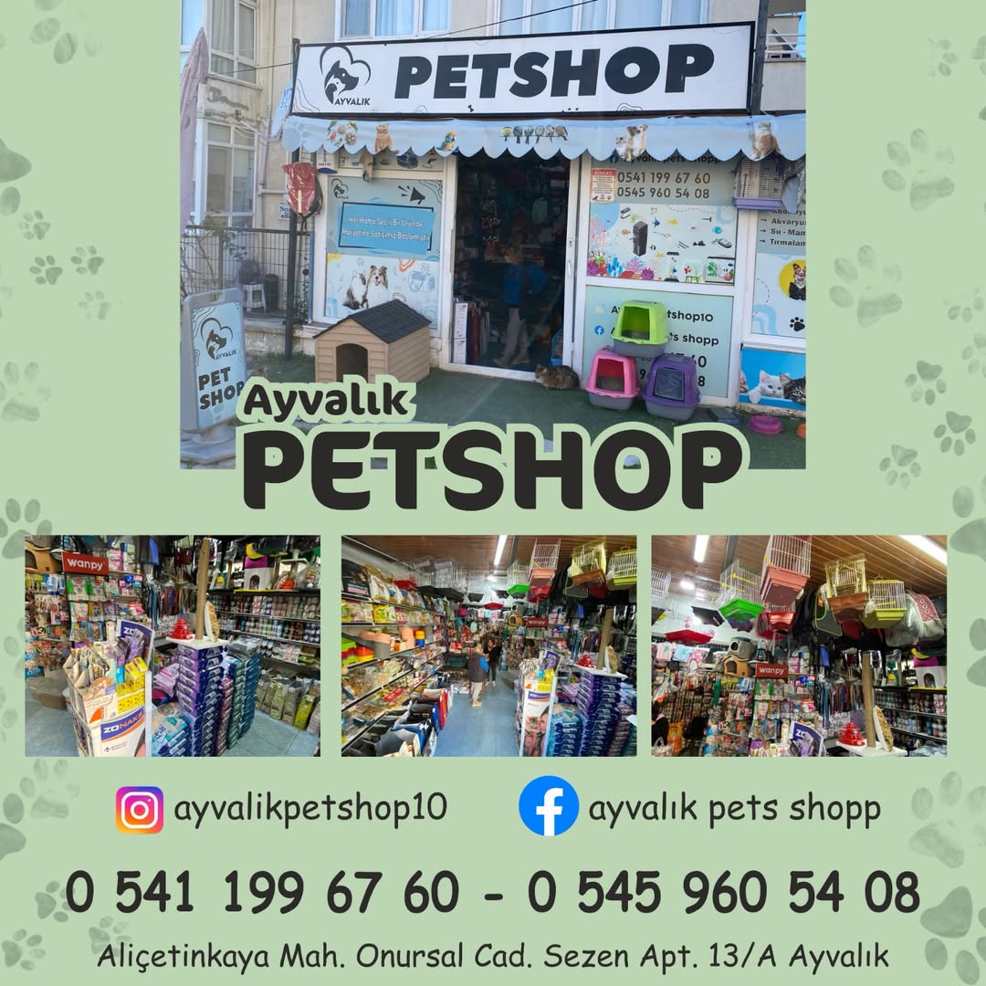 Ayvalık Pet Shop, Sokak Hayvanlarına ve Evcil Dostlara Destek Sunuyor