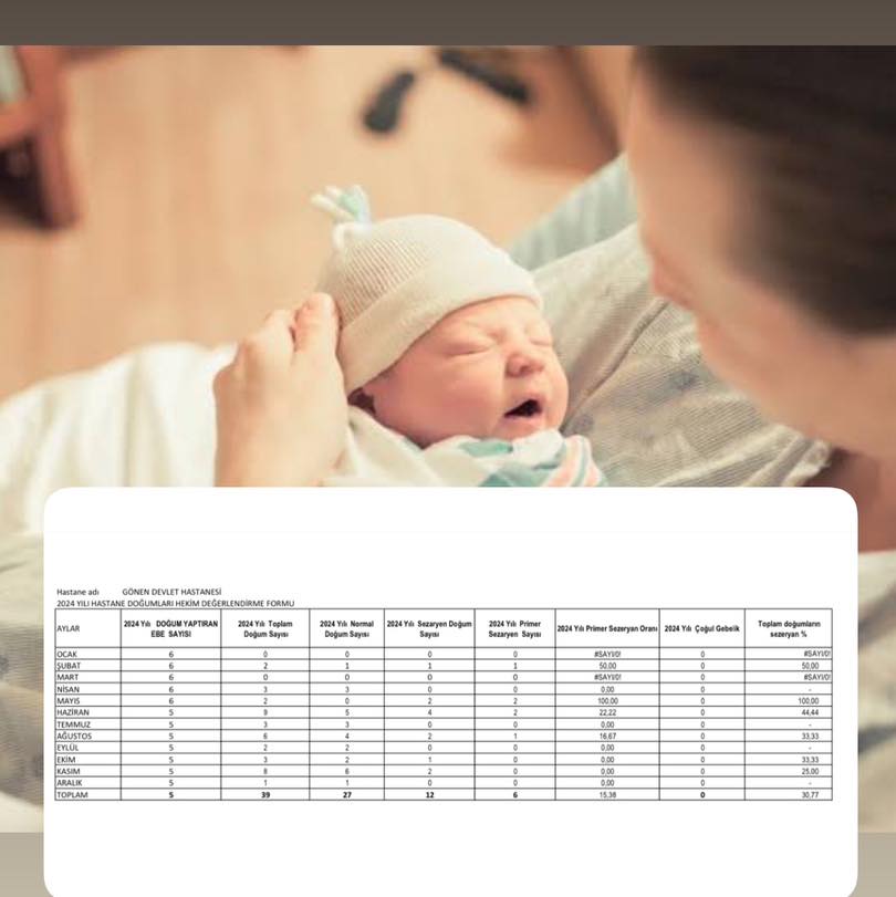 Gönen Devlet Hastanesi'nde 2024 Doğum İstatistikleri Açıklandı