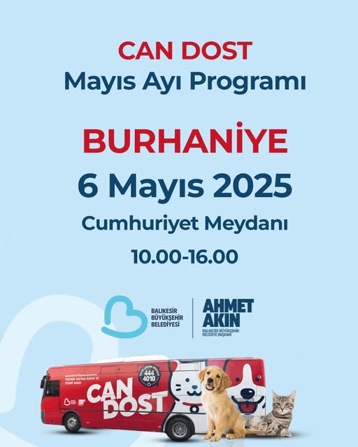 Burhaniye'de Sokak Hayvanlarına Ücretsiz Sağlık Hizmeti