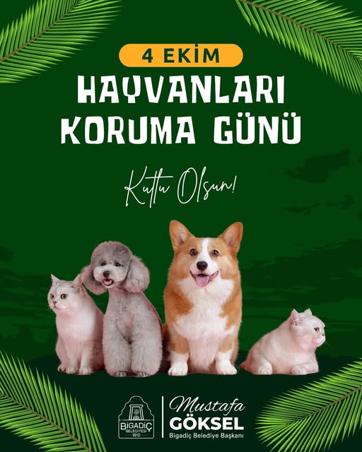 Bigadiç Belediyesi 4 Ekim'de Sokak Hayvanları İçin Sevgiyle Yanımızda
