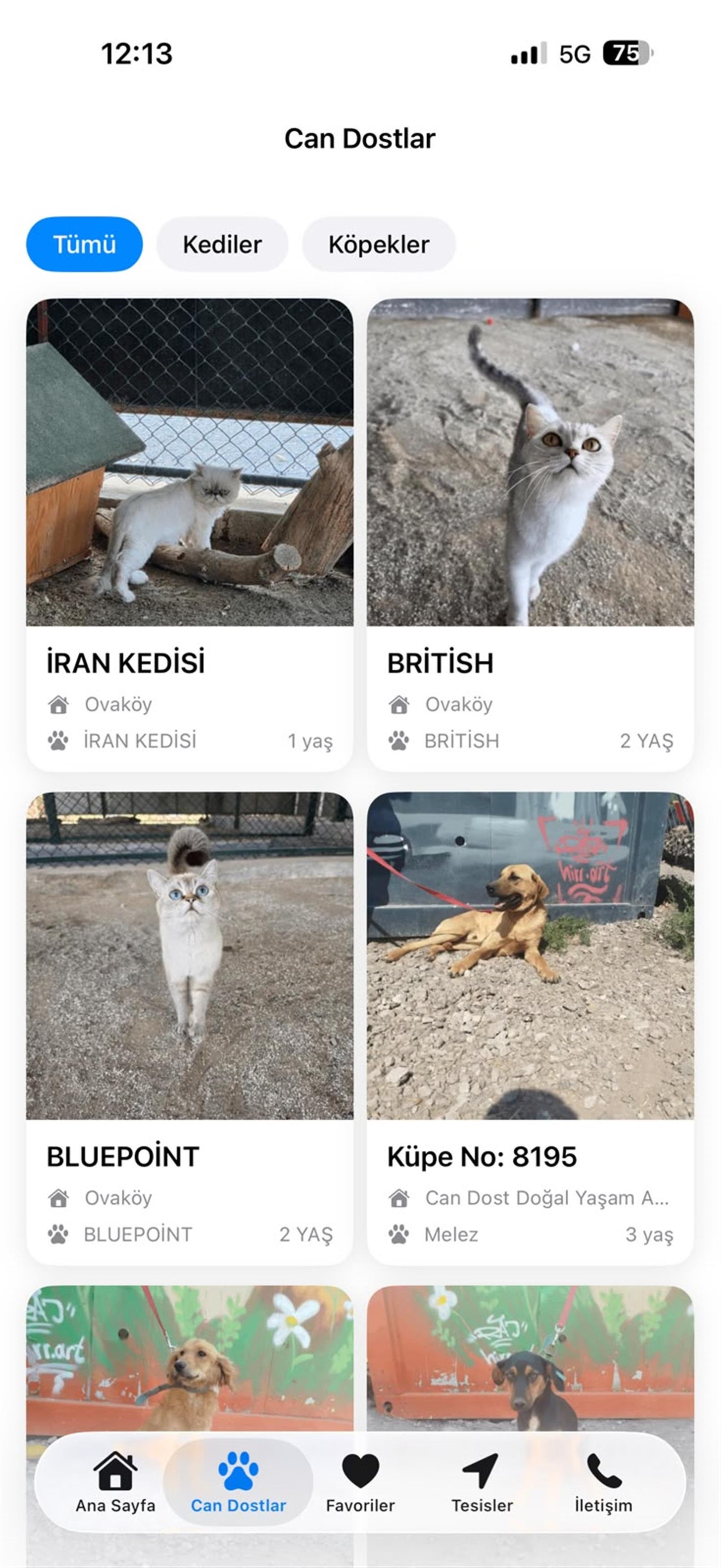 Binlerce can dost yuvalarına kavuştu